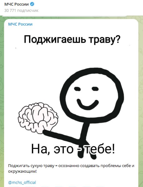 Бурятские пожарные жгли траву в поле и случайно сожгли полдеревни