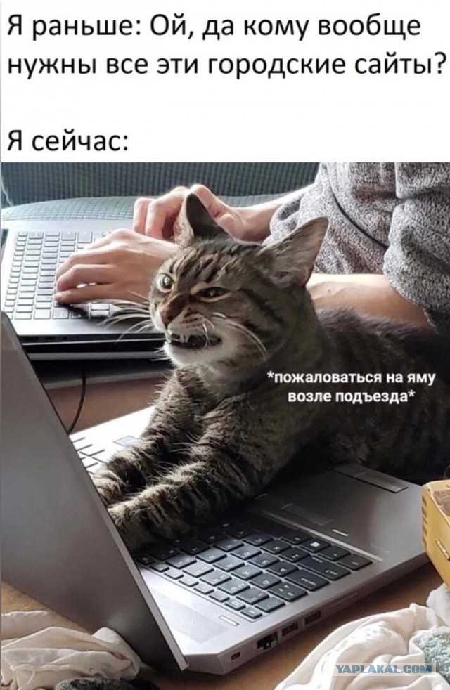 38 разных картинок для настроения (1)
