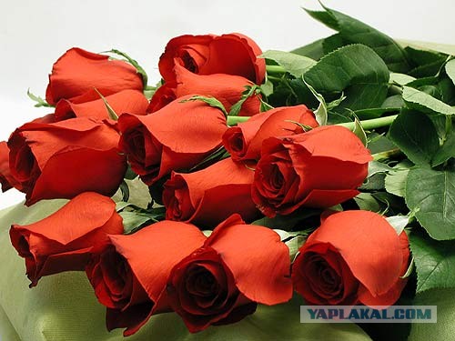 Последний бой 6-ой роты