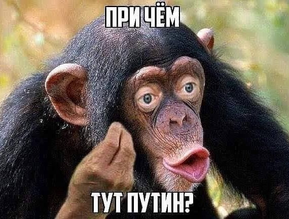 Апрель 2023 года обновил антирекорд по рождаемости в стране. И снова  - минус 40000 человек населения,с прогнозом в полмиллиона.