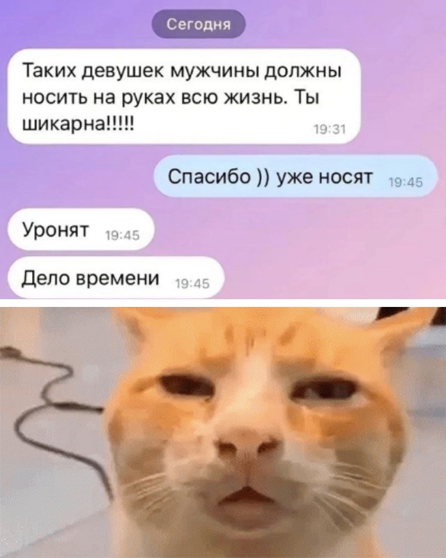 Скупка краденого из сети 08-08-2023