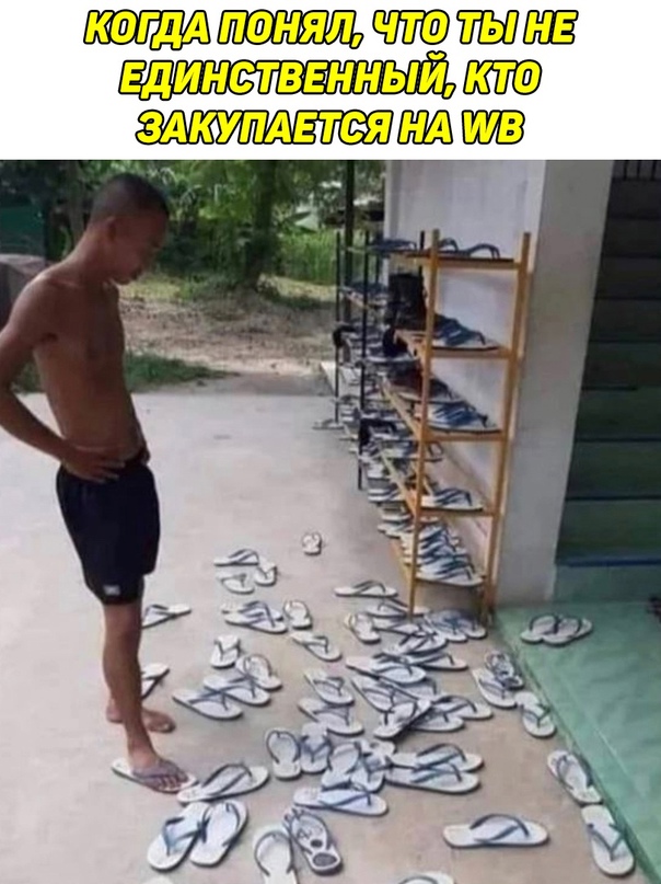 Весёлый полтишок 21.08.23