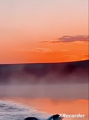 Лебедь