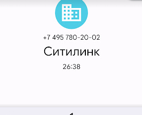 Вляпались в Ситилинк