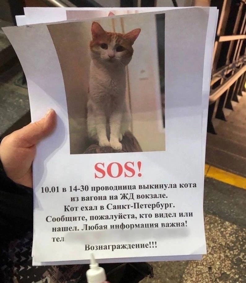 Цитаты для примирения после ссоры. Мужчина молчит после ссоры. После ссоры прикол. Помириться с женой после ссоры. Если мужчина не звонит после ссоры.