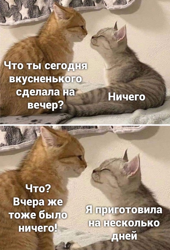 Весёлый полтишок 17.06.24
