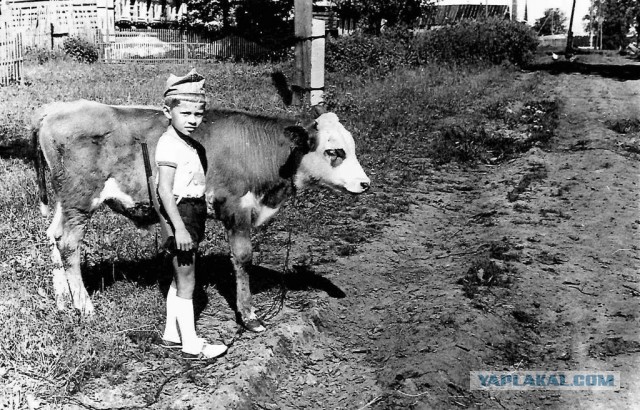 Немного фотографий из жизни одной деревни