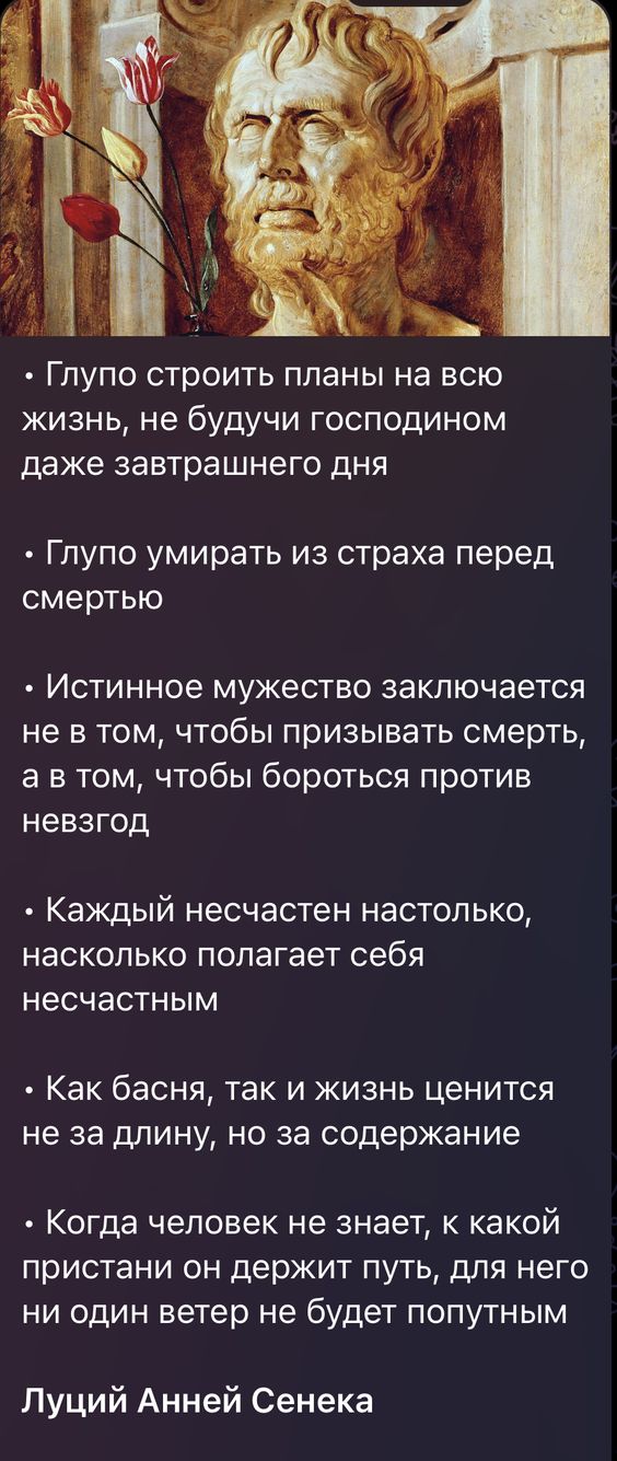 19376042.jpg