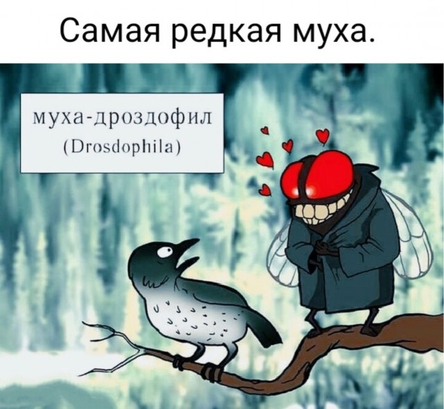 Веселые картинки к понедельнику (23.09)