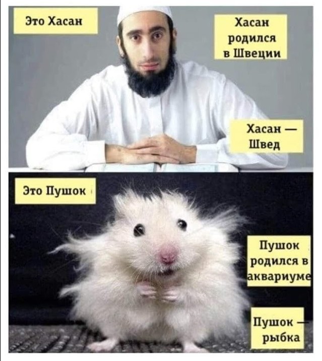 Проблема не в школах