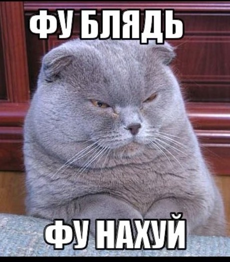 Одна картинка.