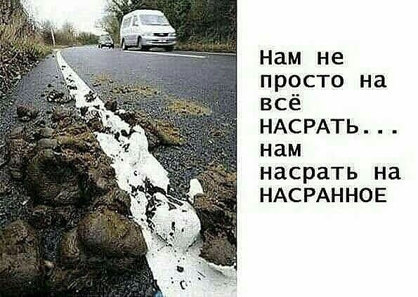 Отсутствие морально этических норм Vol.15