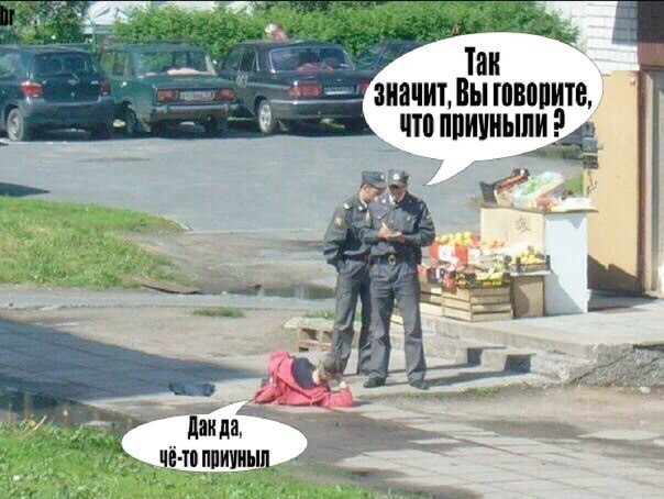 Пора деградировать. Дичь