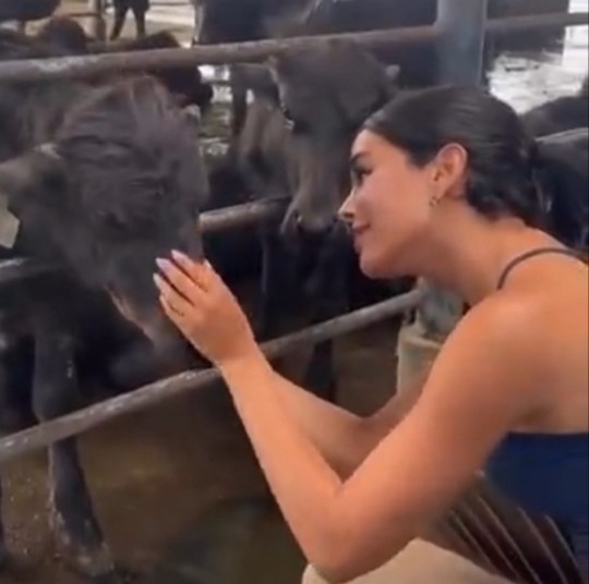 Испаноязычная прелесть.