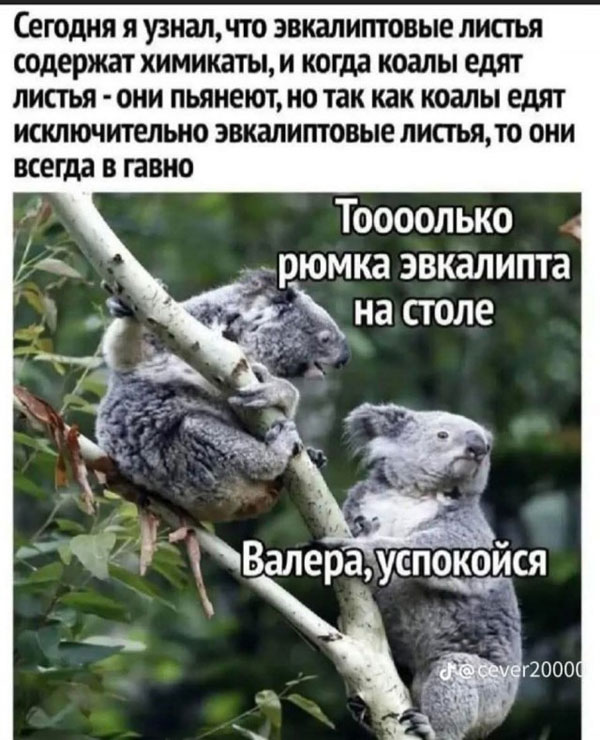 Понедельник всегда внезапен