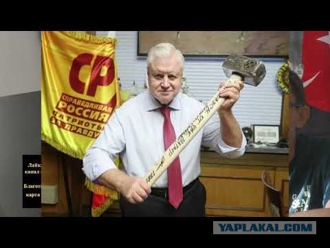 Миронов назвал мерзавцами и идиотами, кто замедляет Телеграм