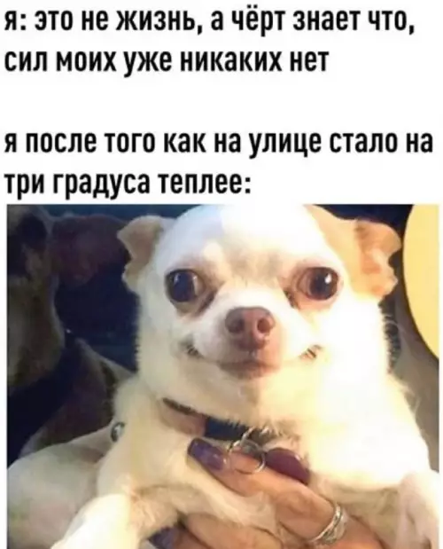 Картиночки, баянчики 25 февраля