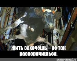 Футболистки сборной Ирана показывали сигнал SOS в автобусе