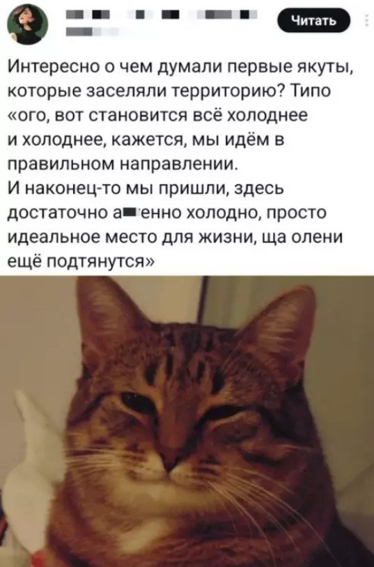 Картиночки, баянчики 15 марта