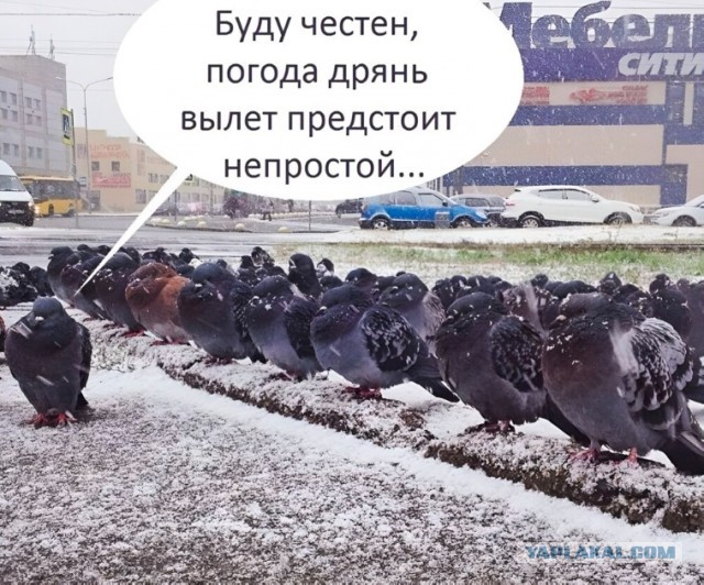 Инструктаж пилотов перед вылетом