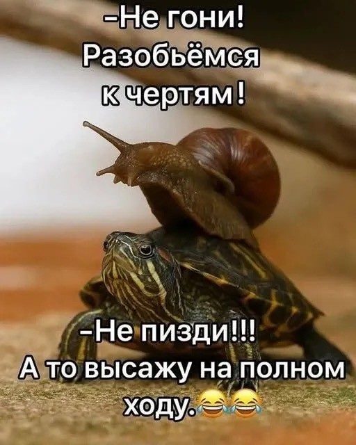 Картинки для деградации 226 (разной степени свежести)