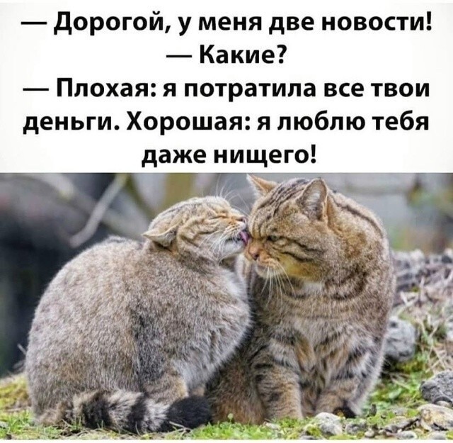 Веселые картинки в понедельник (13.07)