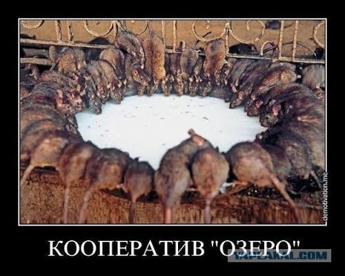 Товары с маркеплейсов стали дороже чем в гипермаркетах.
