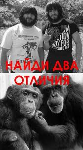 Документальный фильм BBC