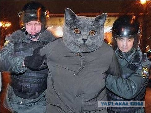 Шесть необычных деликатесов.