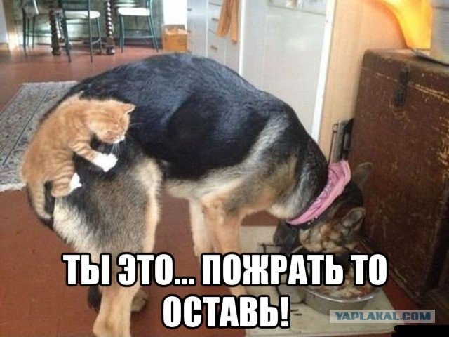 Уважаемые
