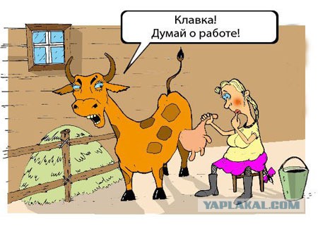 Cтрах парализует мозг