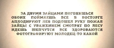 Приколы и маразмы 2