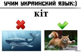 Украинская весна