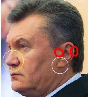 Где сейчас янукович 2024 год. Двойник Януковича. Янукович сейчас. Янукович еврей. Янукович до и после.