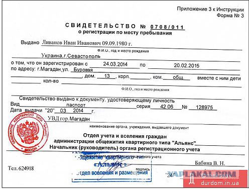 На Майдане посадили огород и строят свинарник.