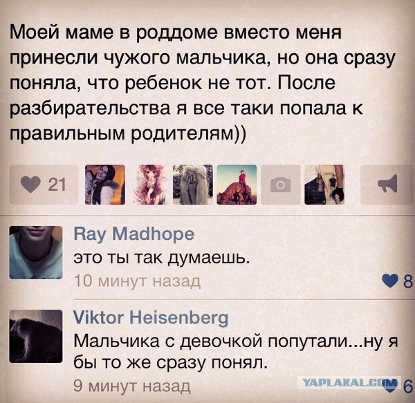 Смешные комментарии из социальных сетей.