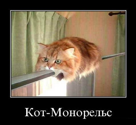 Заброшенный монорельс