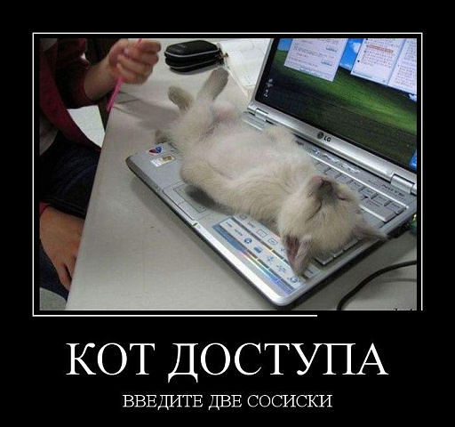 Немного позитива на пятницу.