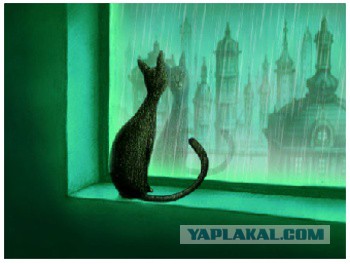 Добряки, плюсующие всех подряд