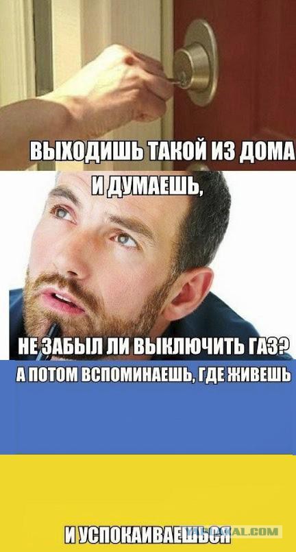 На злобу дня