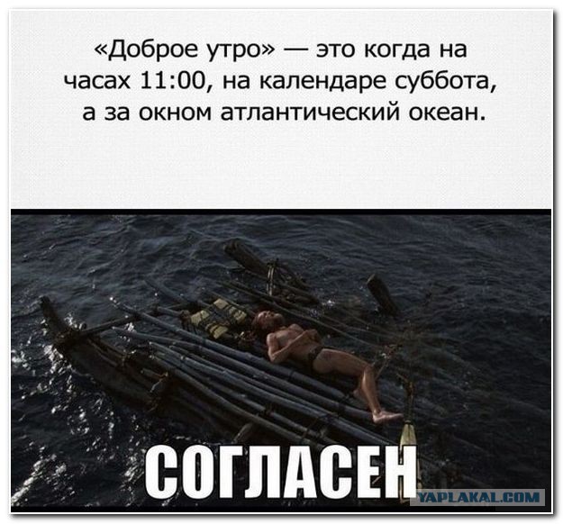 Комментарии из соцсетей