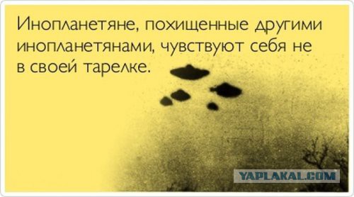 Картинки из интернетов