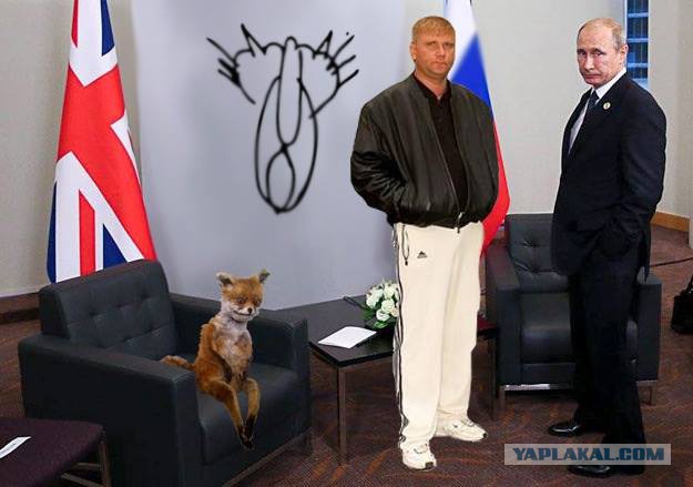 Правильно встали
