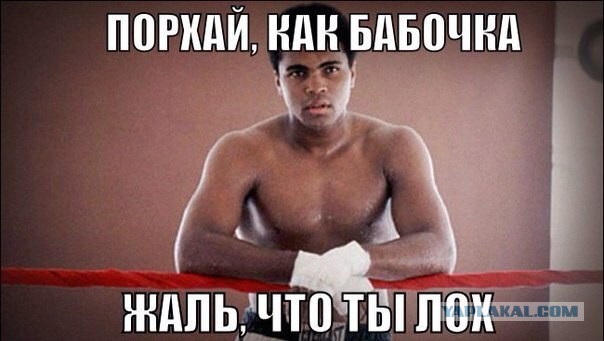 Что тут происходит?