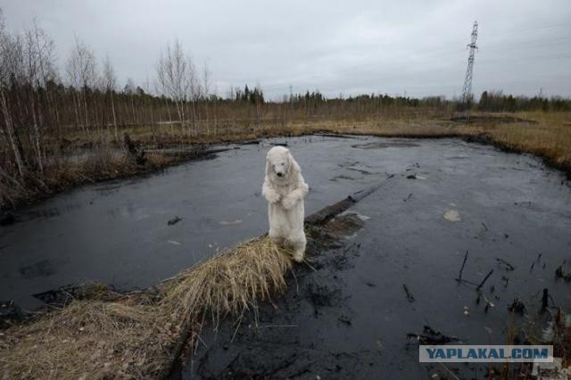 Супер фотографии
