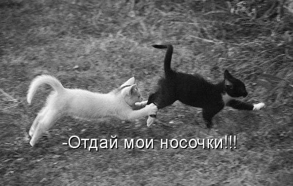 Смешные картинки