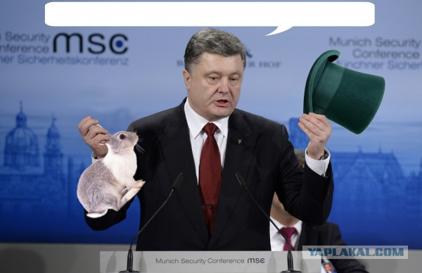 Что еще предложит Петя?