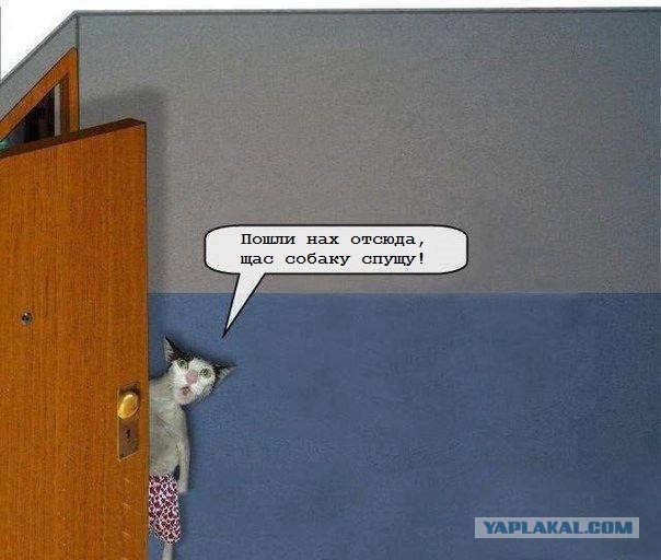 А вы к кому?