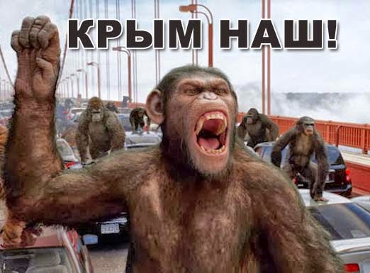 Вежливо и сердито