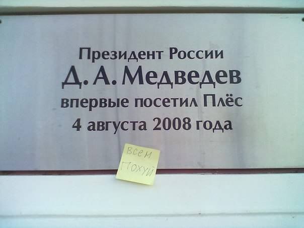 Поиск вырубленной березовой рощи в Плесе